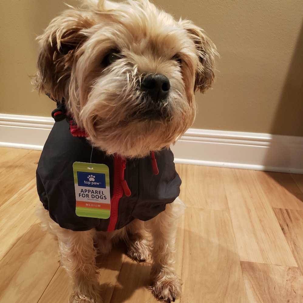 Black Doggo Windbreaker M
